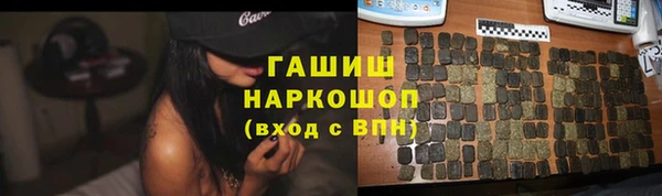 бошки Бородино